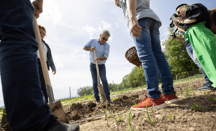 Die Grünen: Grant, Gräben und&nbsp;Gräber